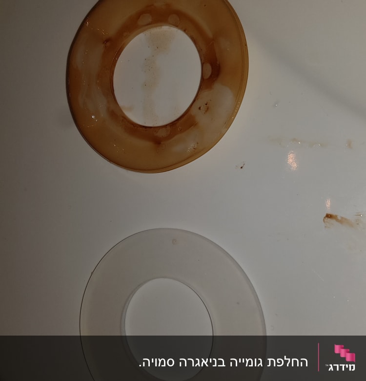 שני אטמים עגולים, אחד חום ואחד שקוף, על משטח לבן